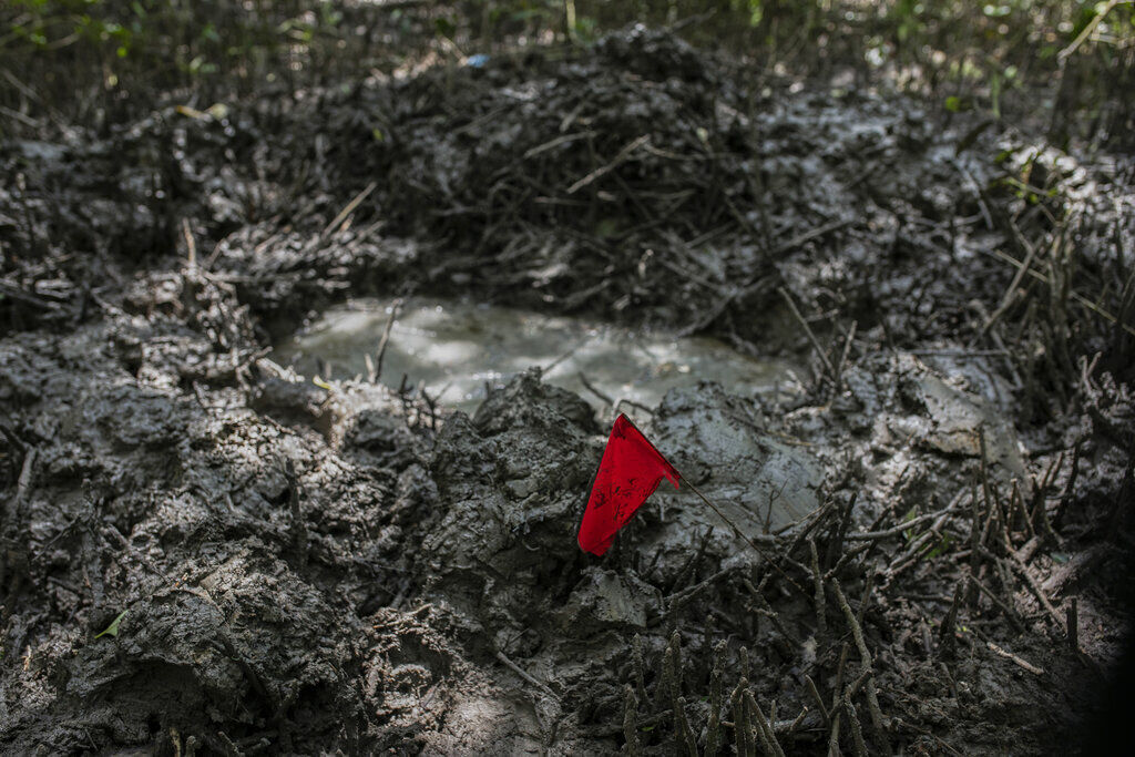 APTOPIX Mexico Clandestine Graves